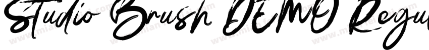 Studio Brush DEMO Regular字体转换